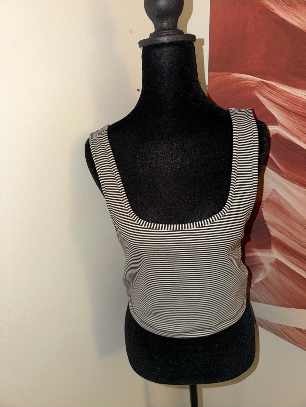 Zara Black and White Striped Cropped Tank